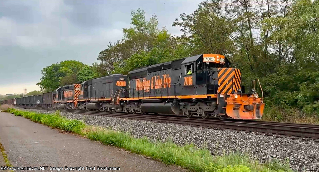 WE 7015 leads Z641-15.